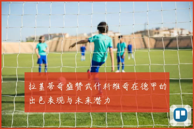 拉基蒂奇盛赞武什科维奇在德甲的出色表现与未来潜力